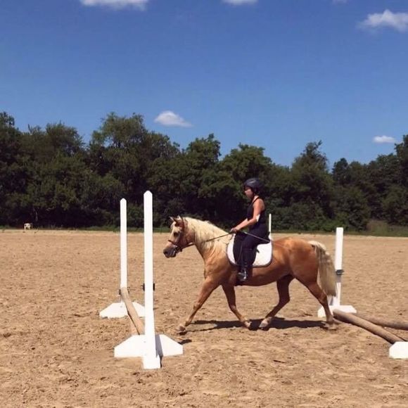 Meet your Posher, Rachel - Picture 1 of 1